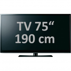 TV 75