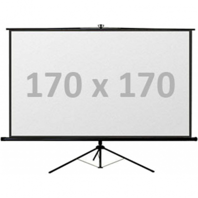 Leinwand 170