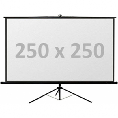Leinwand 250